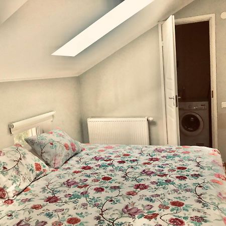Cozy City Penthouse Apartment, Free Parking 塔林 外观 照片